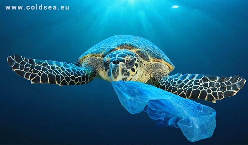 CO ZAMIAST PLASTIKOWYCH SŁOMEK - EKOLOGICZNE ALTERNATYWY